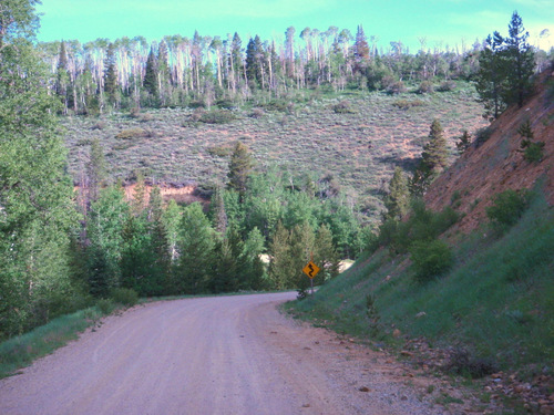 NF 801, Medicine Bow NF, WY, GDMBR.